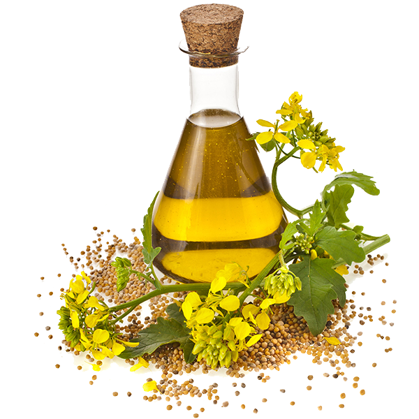 OIL